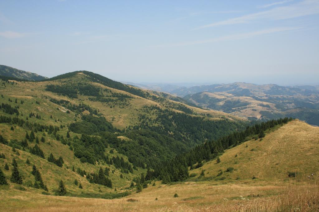 Apartment G6 Kopaonik Exteriér fotografie